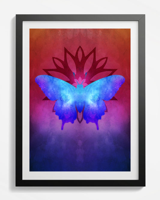 Blue Morpho Butterfly