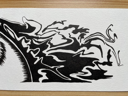 Raven Flow (ORIGINAL)