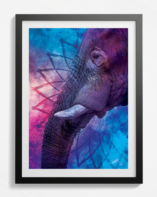Wise Elder Elephant