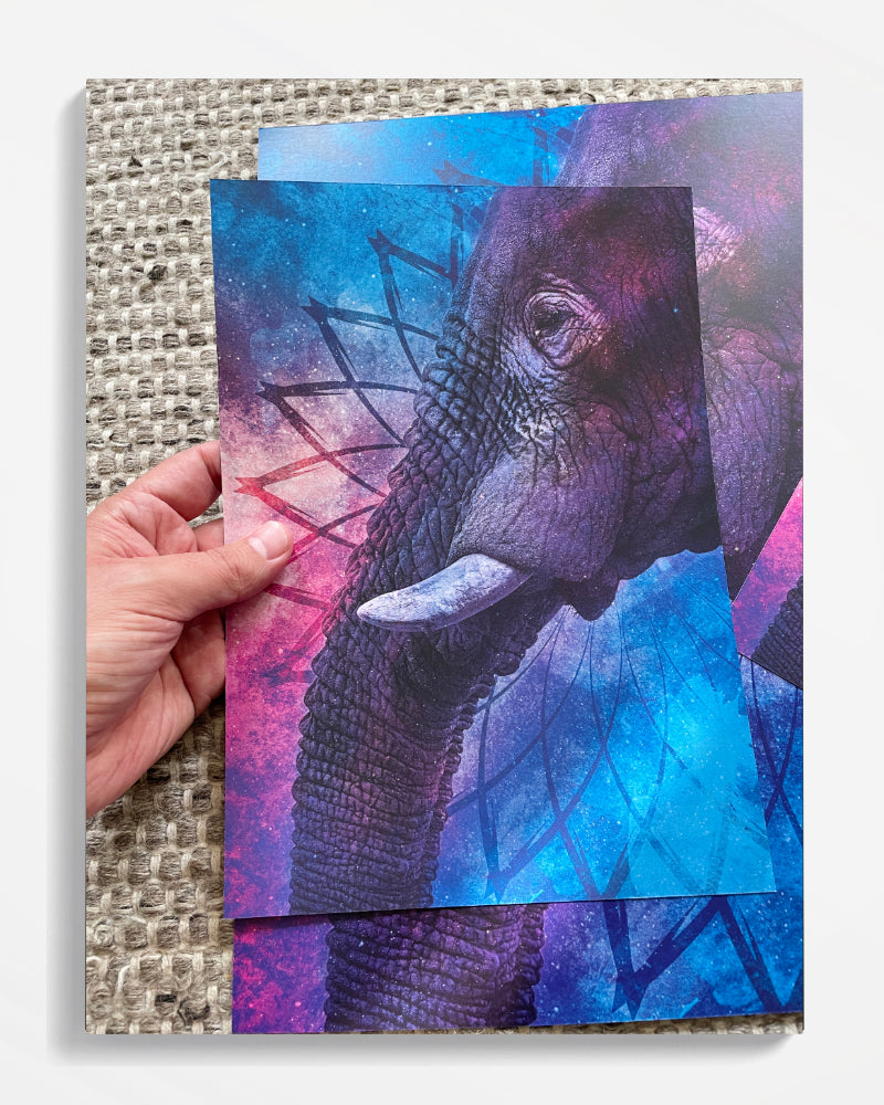 Wise Elder Elephant