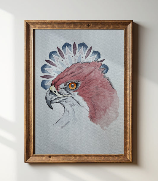 Eyes of the Sky A4 (Print)