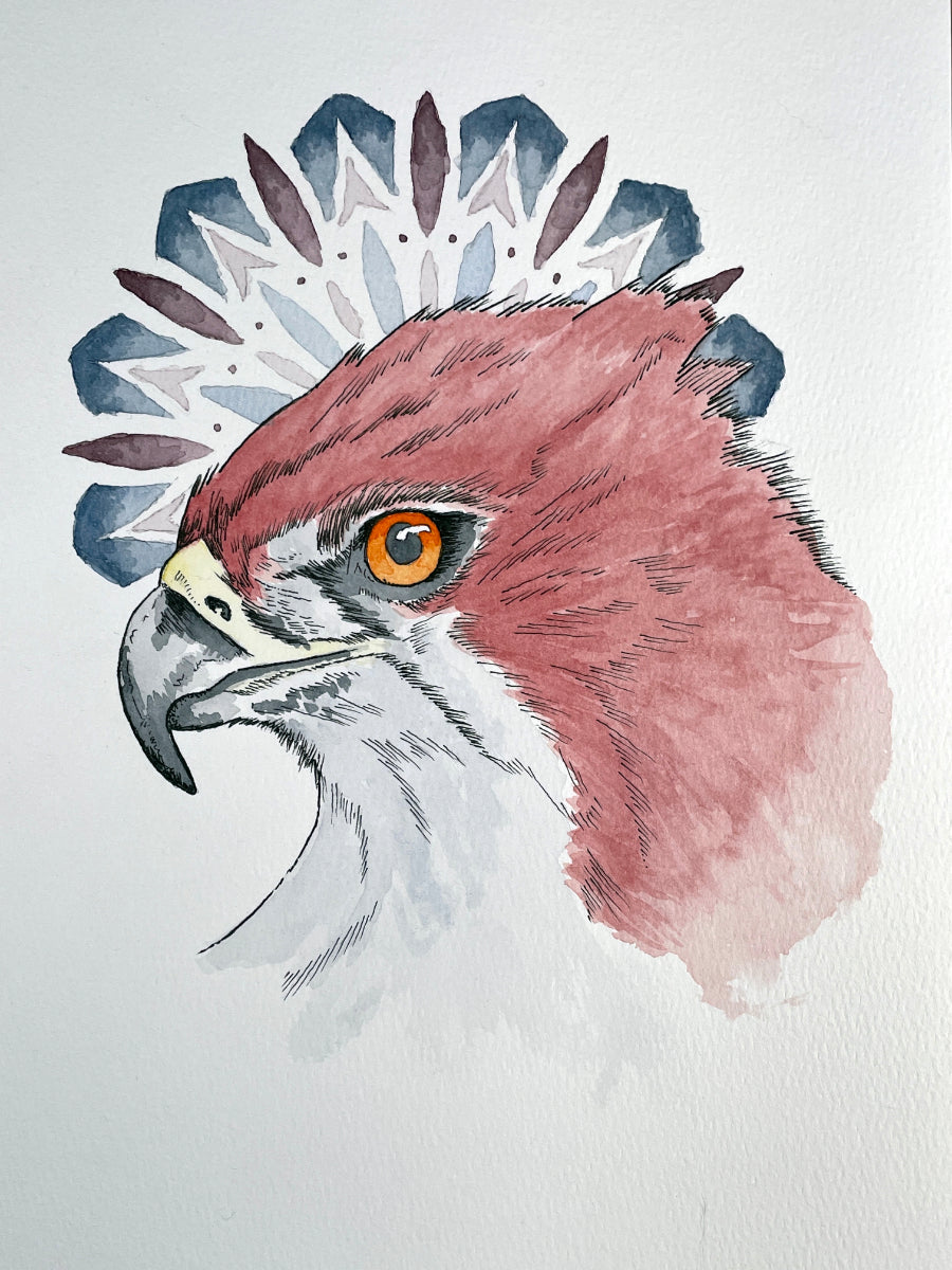 Eyes of the Sky A4 (ORIGINAL)