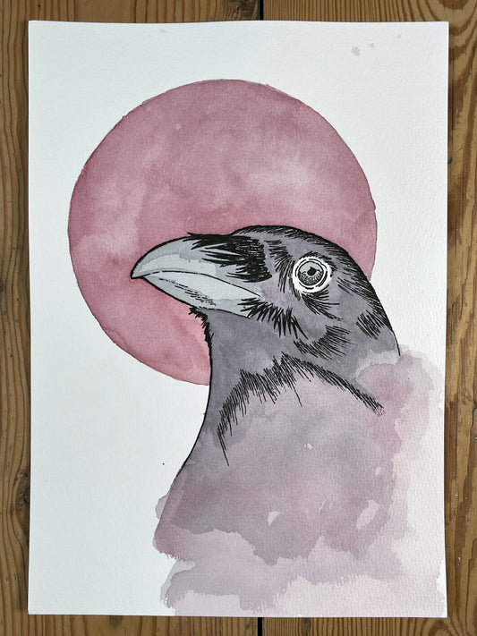 Freedom A4 (ORIGINAL