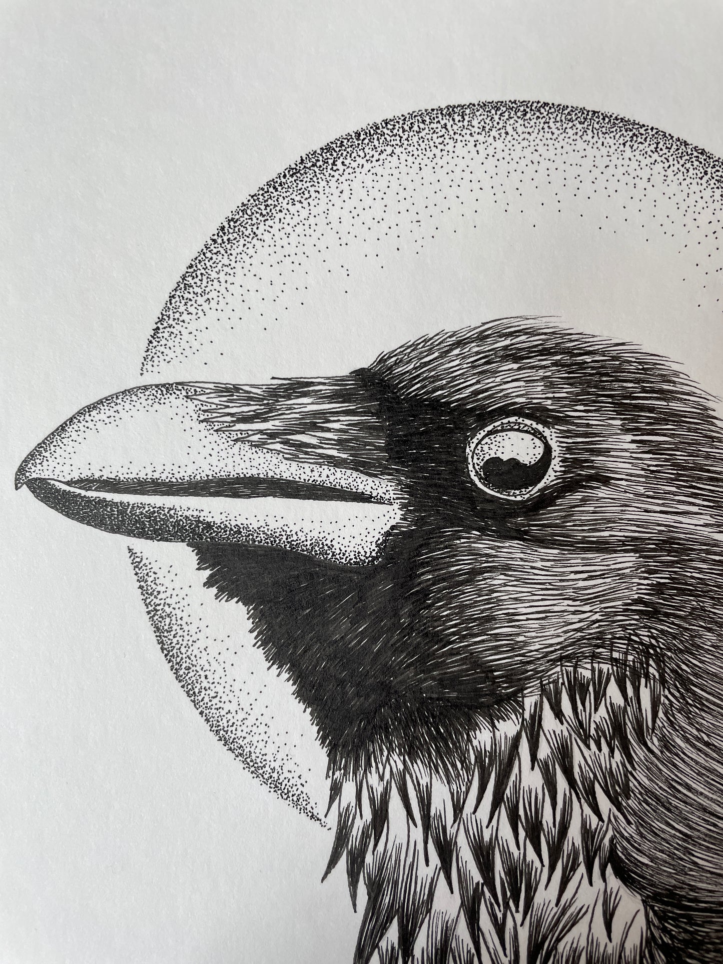 Winter Raven (ORIGINAL)