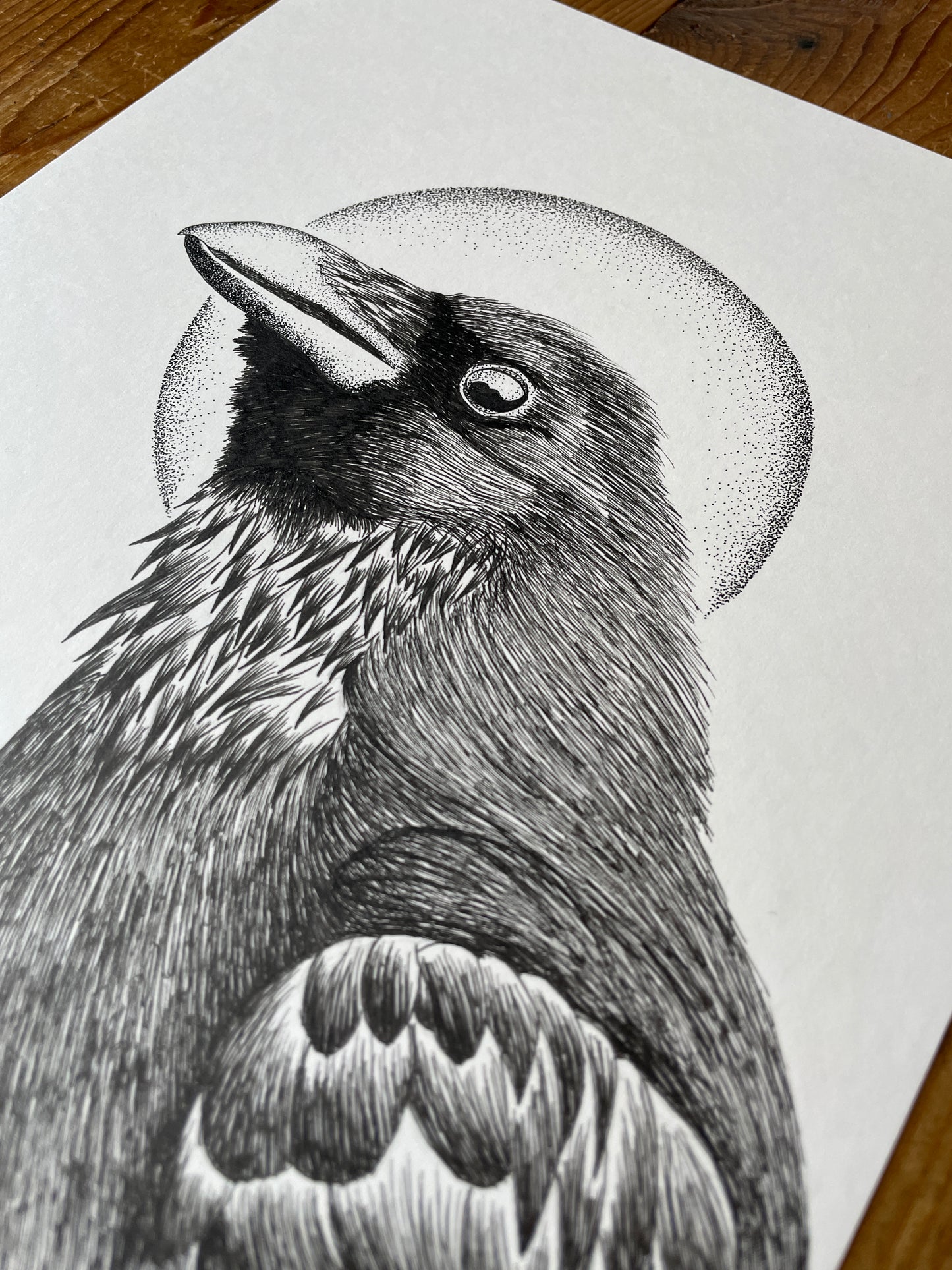 Winter Raven (ORIGINAL)