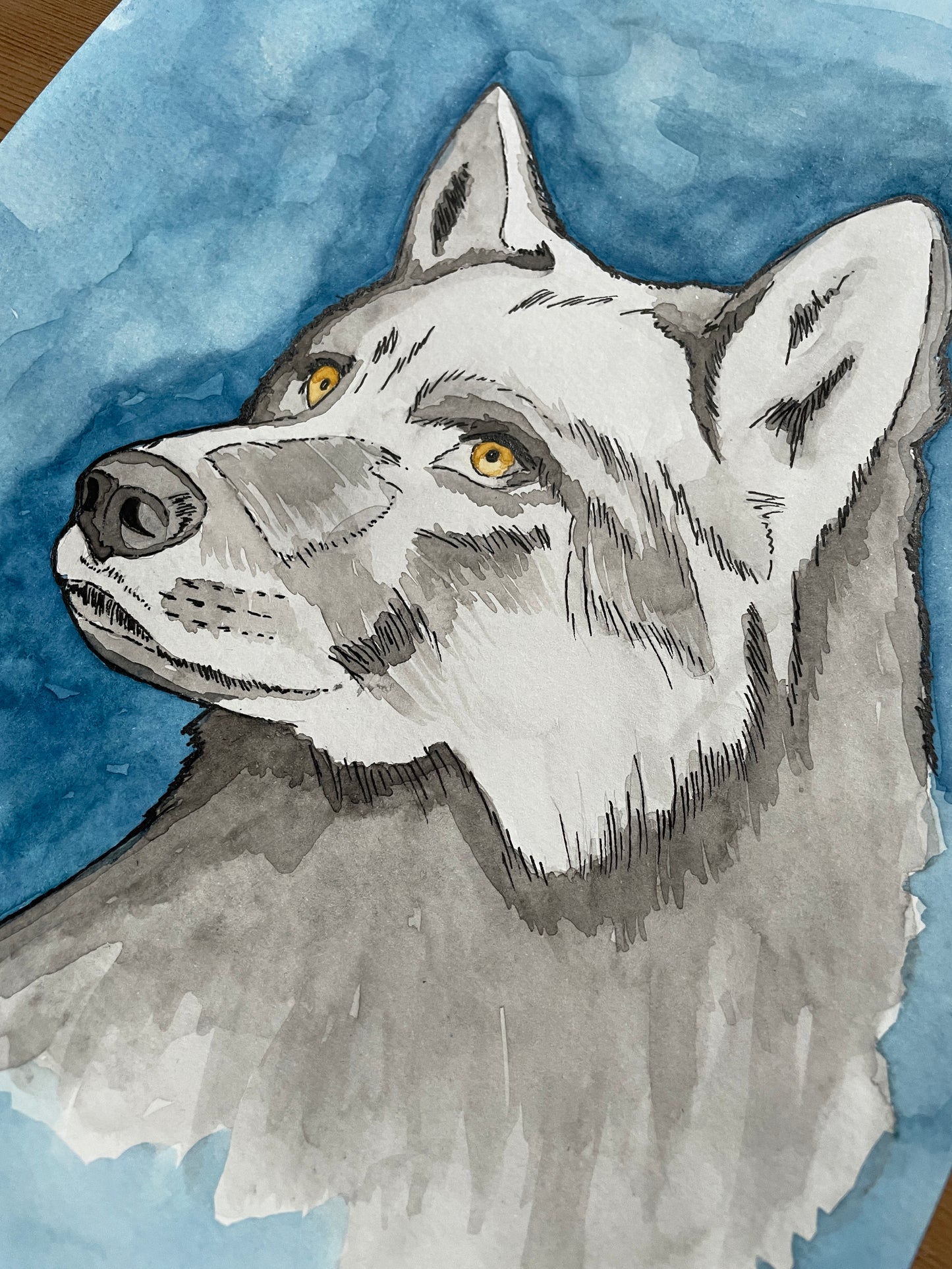 Blue Wolf A4 (ORIGINAL)