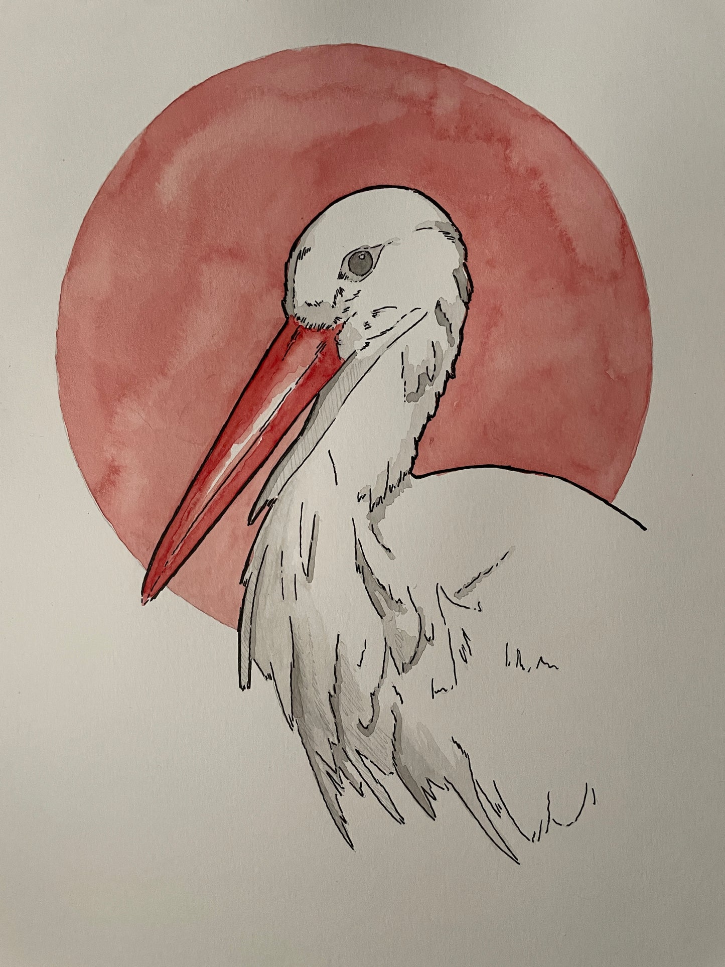 Stork A4 (ORIGINAL)
