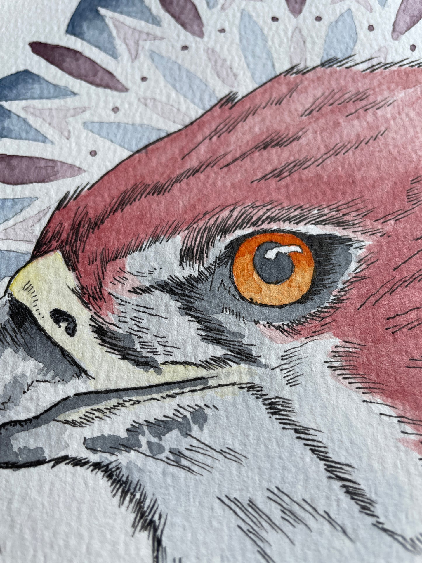 Eyes of the Sky A4 (ORIGINAL)