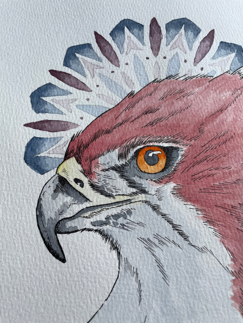 Eyes of the Sky A4 (Print)