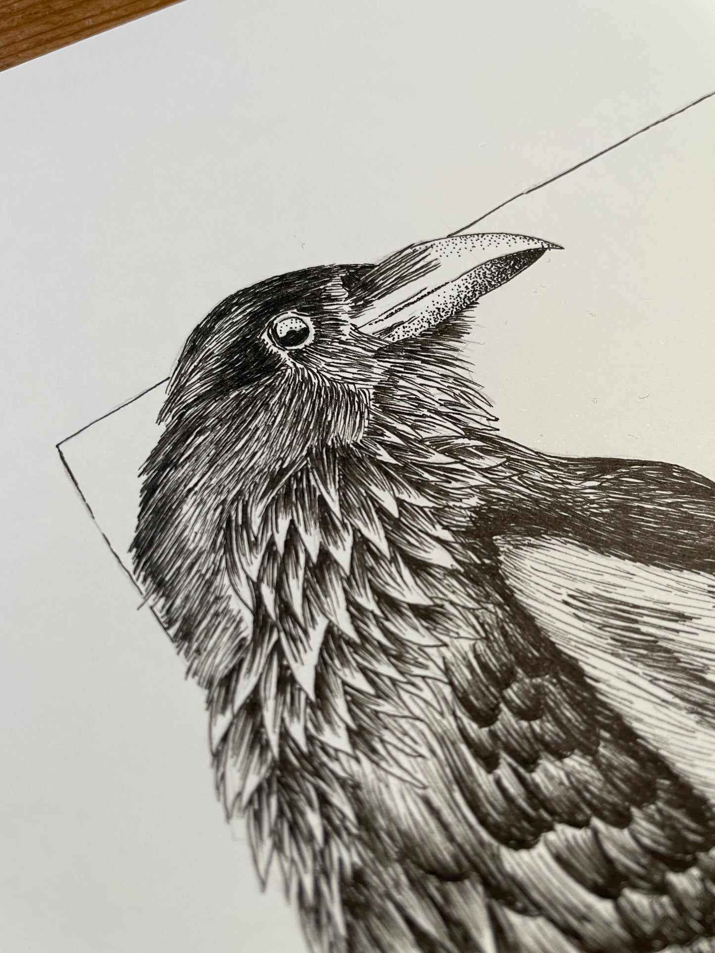 Raven & Wolf (ORIGINAL)