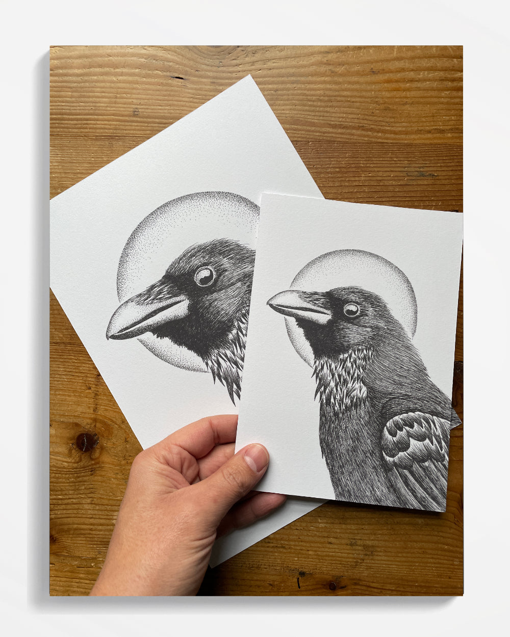 Winter Raven