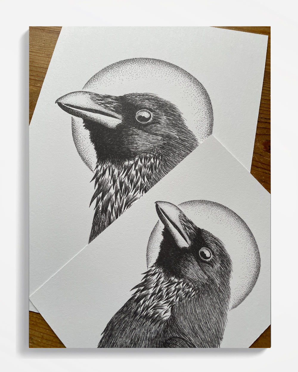 Winter Raven