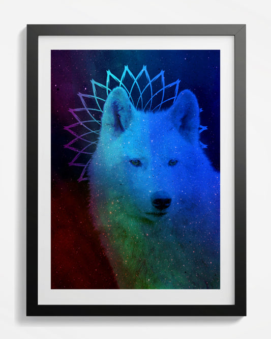 Seeking Wolf