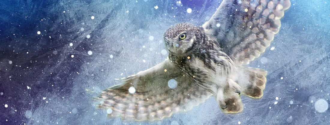 Owl flying silently over a winter field at night under a dark sky, symbolising owl symbolism in folklore and quiet night watching.