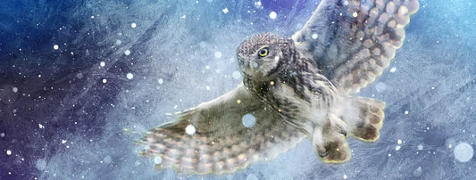 Owl flying silently over a winter field at night under a dark sky, symbolising owl symbolism in folklore and quiet night watching.