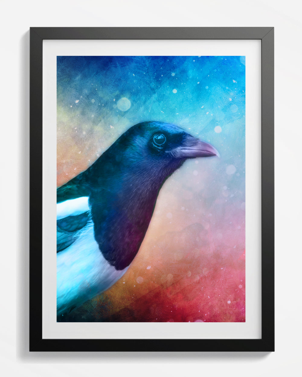 Magpie US