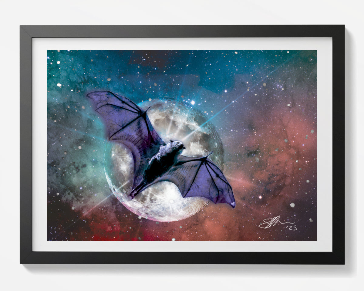 Bats - Nocturnal Visitors - Set of 4