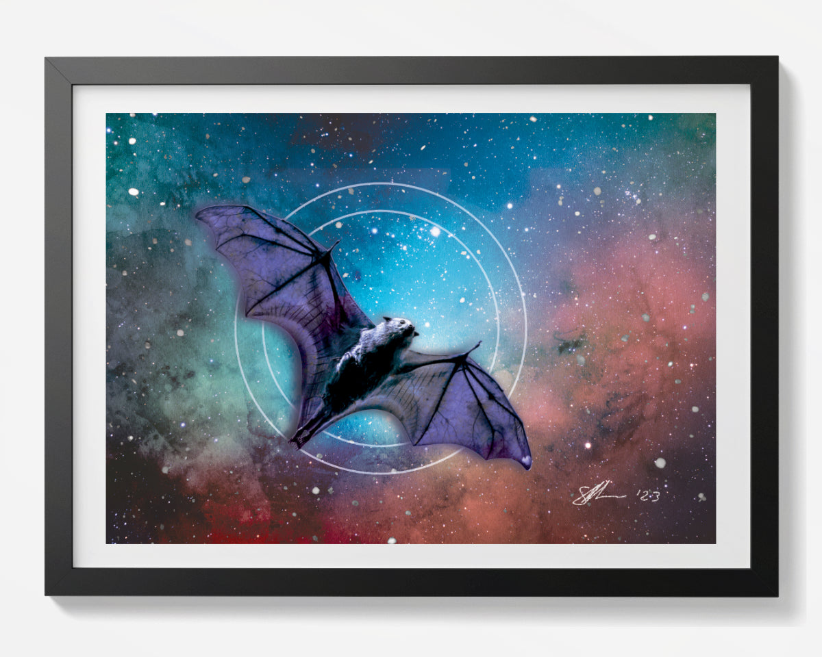 Bats - Nocturnal Visitors - Set of 4