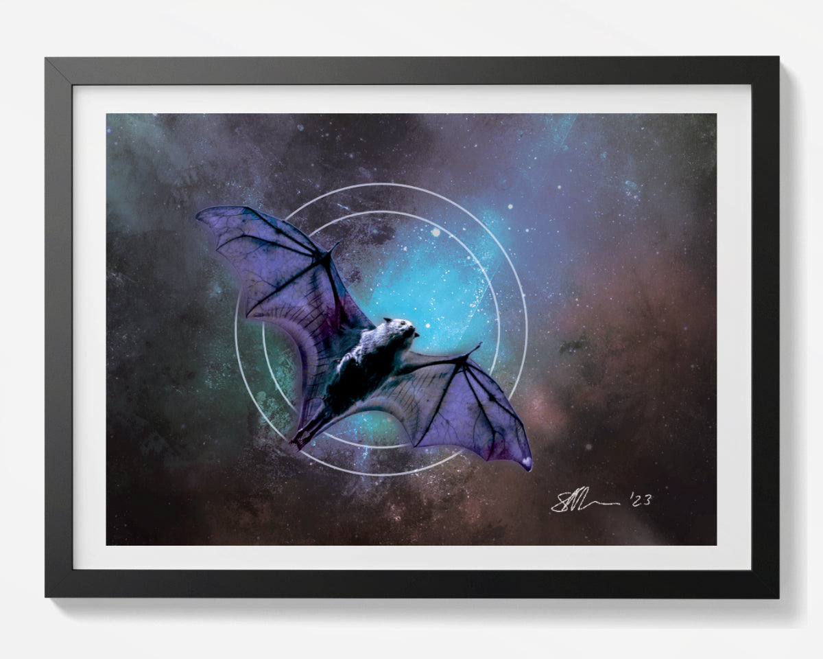 Bats - Nocturnal Visitors - Set of 4