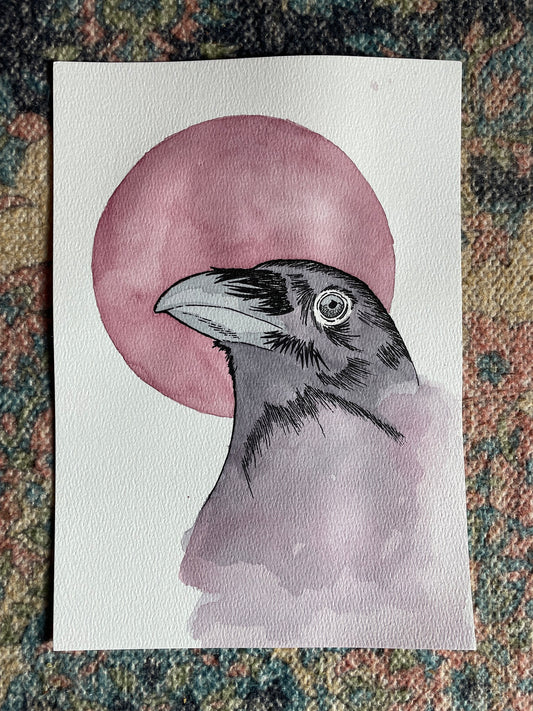 Freedom A4 (ORIGINAL