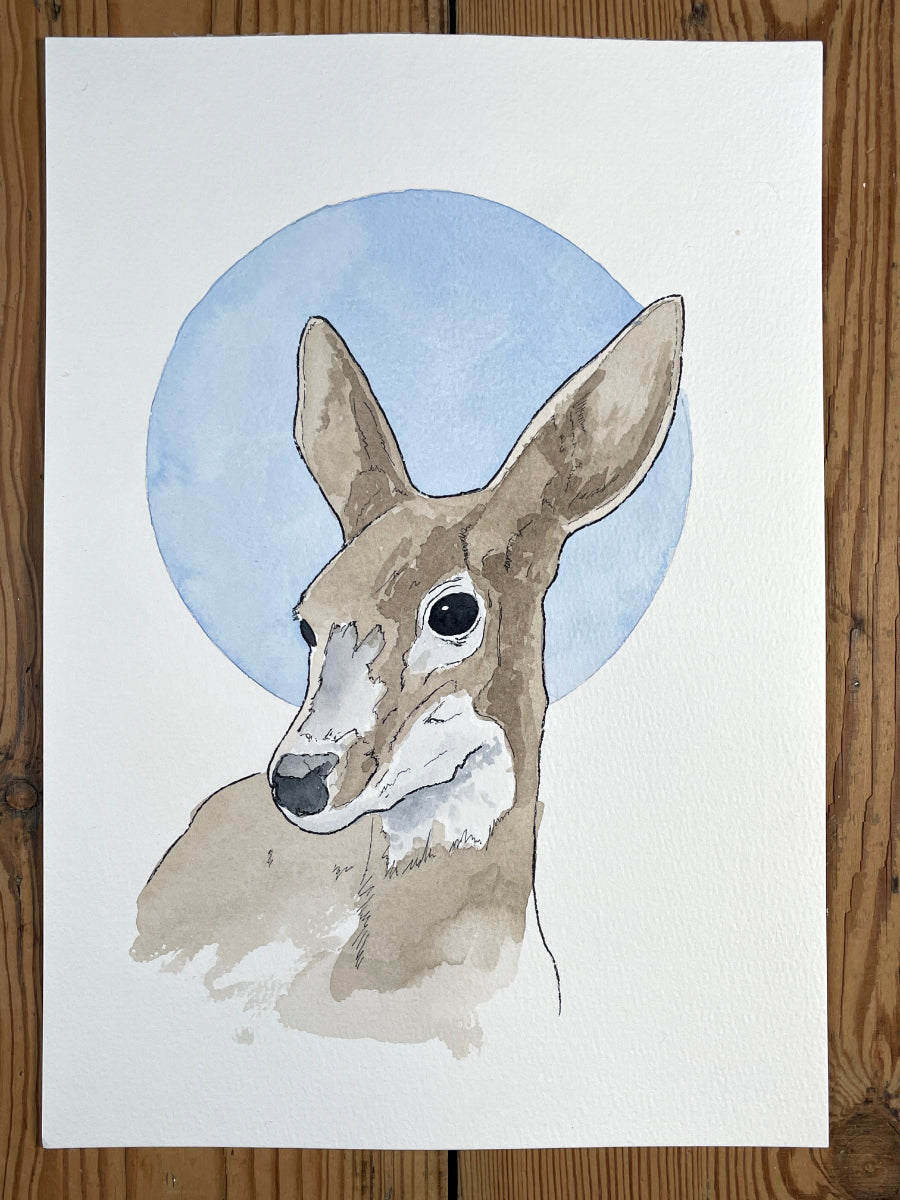 Quiet Watcher A4 – (ORIGINAL)