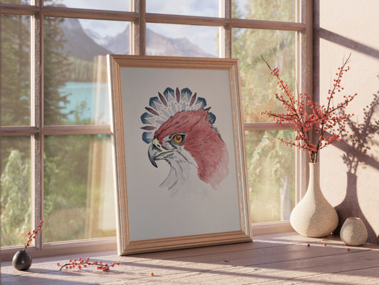 Eyes of the Sky A4 (ORIGINAL)