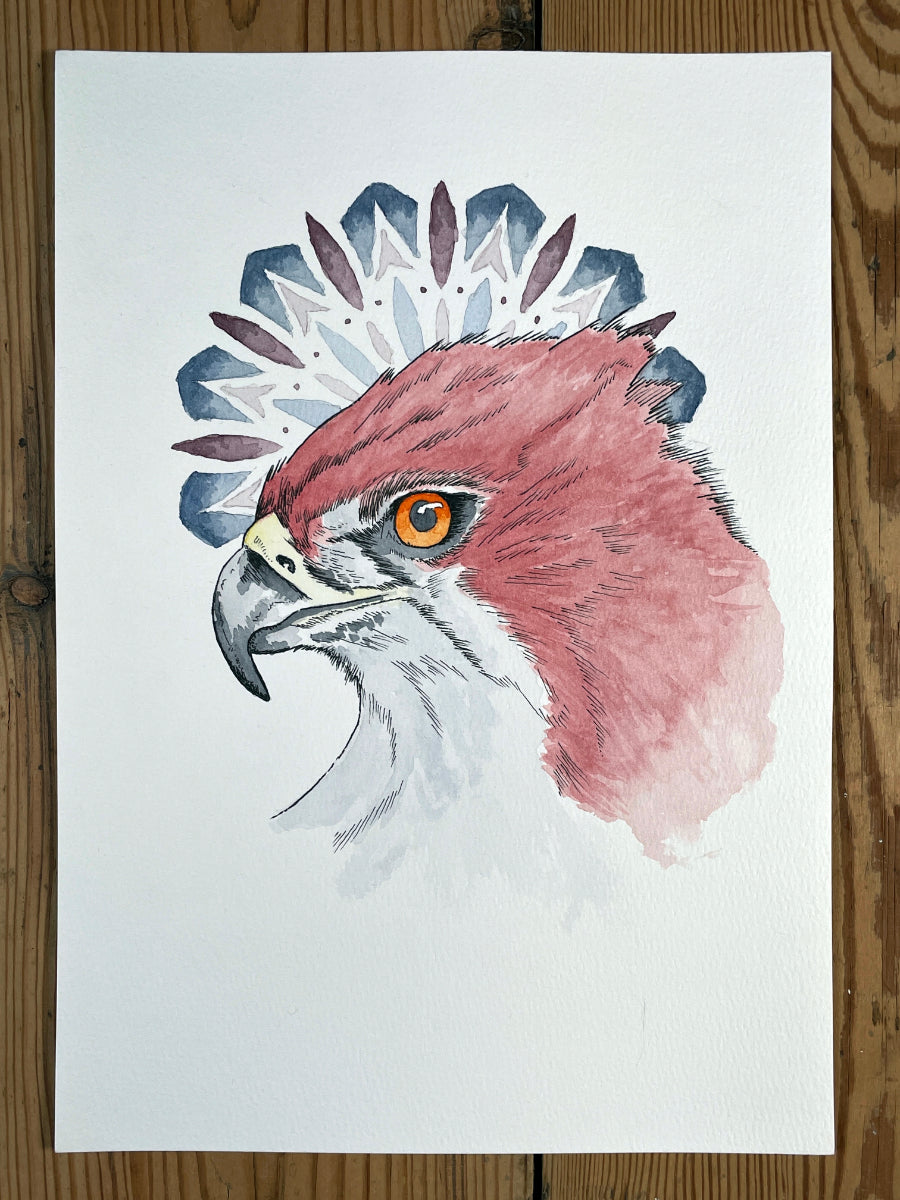 Eyes of the Sky A4 (ORIGINAL)