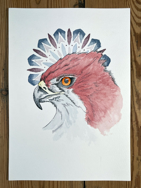 Eyes of the Sky A4 (ORIGINAL)