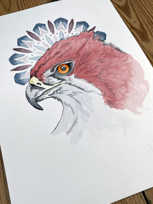 Eyes of the Sky A4 (ORIGINAL)