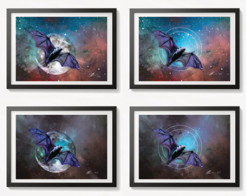 Bats - Nocturnal Visitors - Set of 4