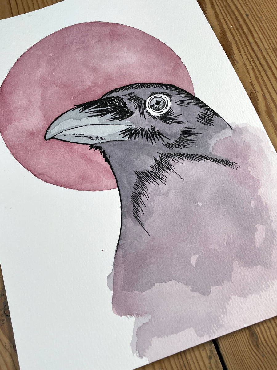 Freedom A4 (ORIGINAL