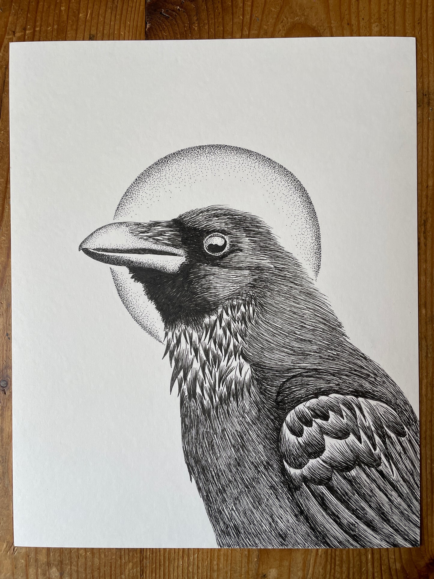 Winter Raven (ORIGINAL)
