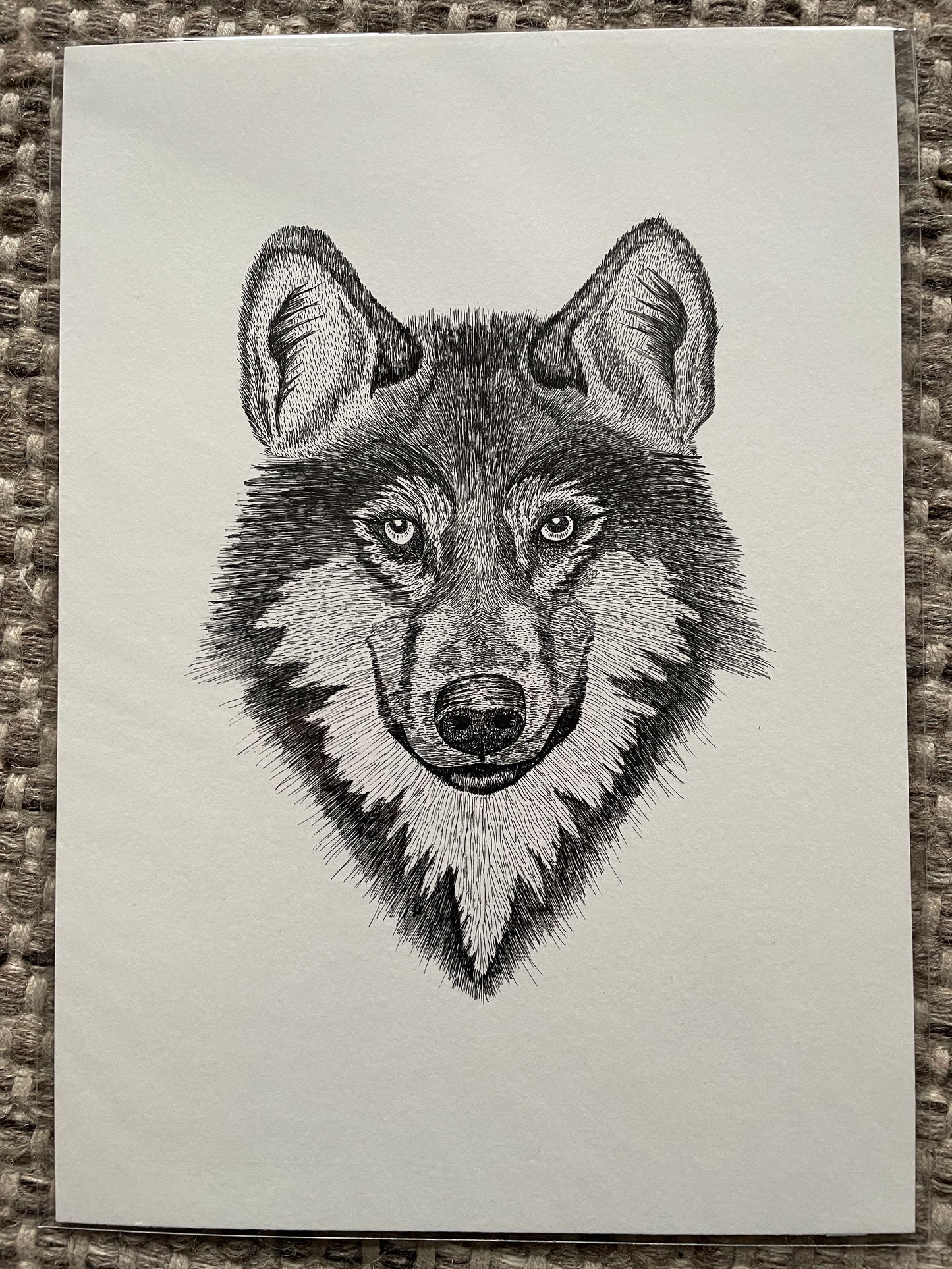 Wolf A4 (ORIGINAL)