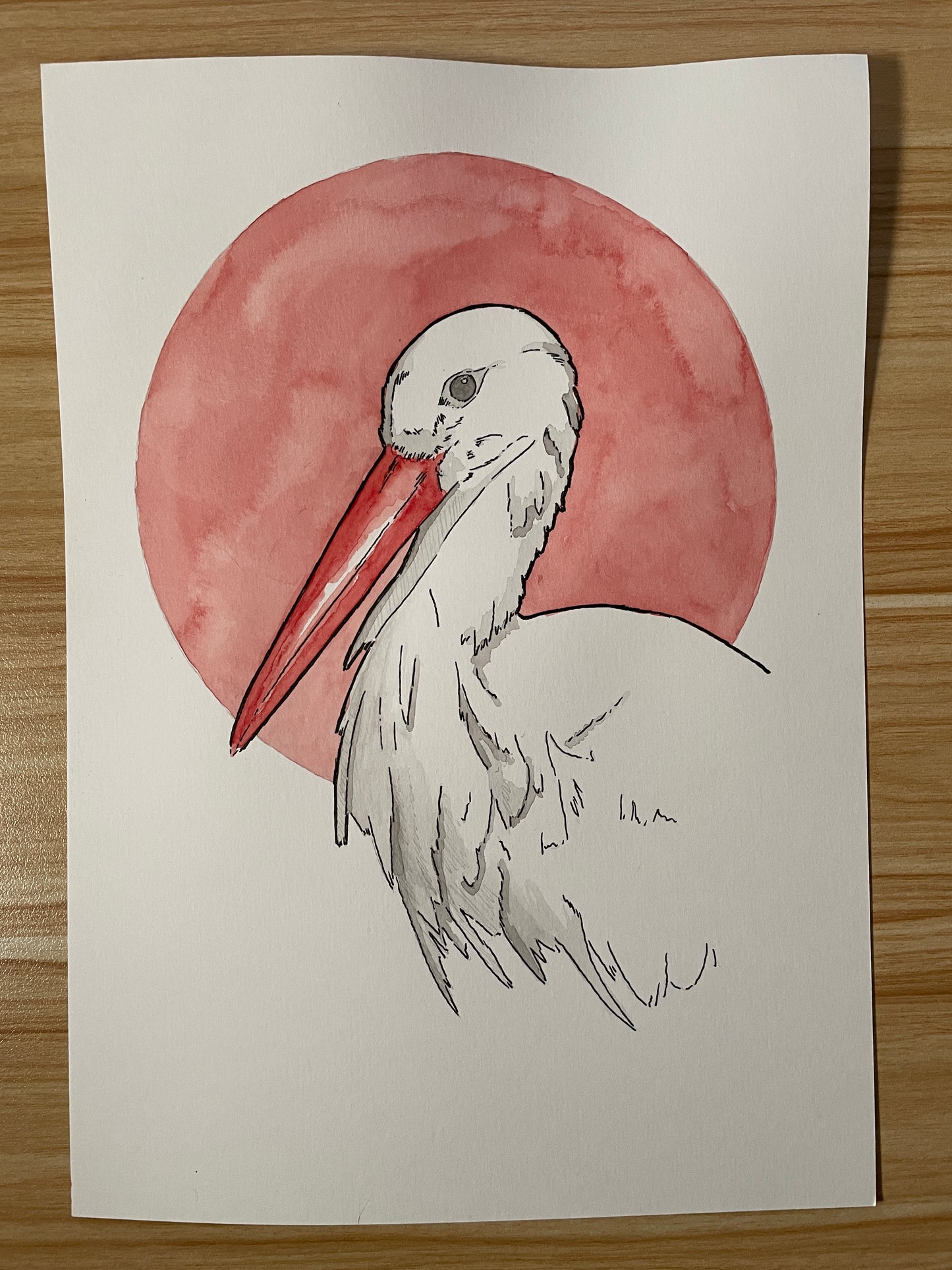 Stork A4 (ORIGINAL)