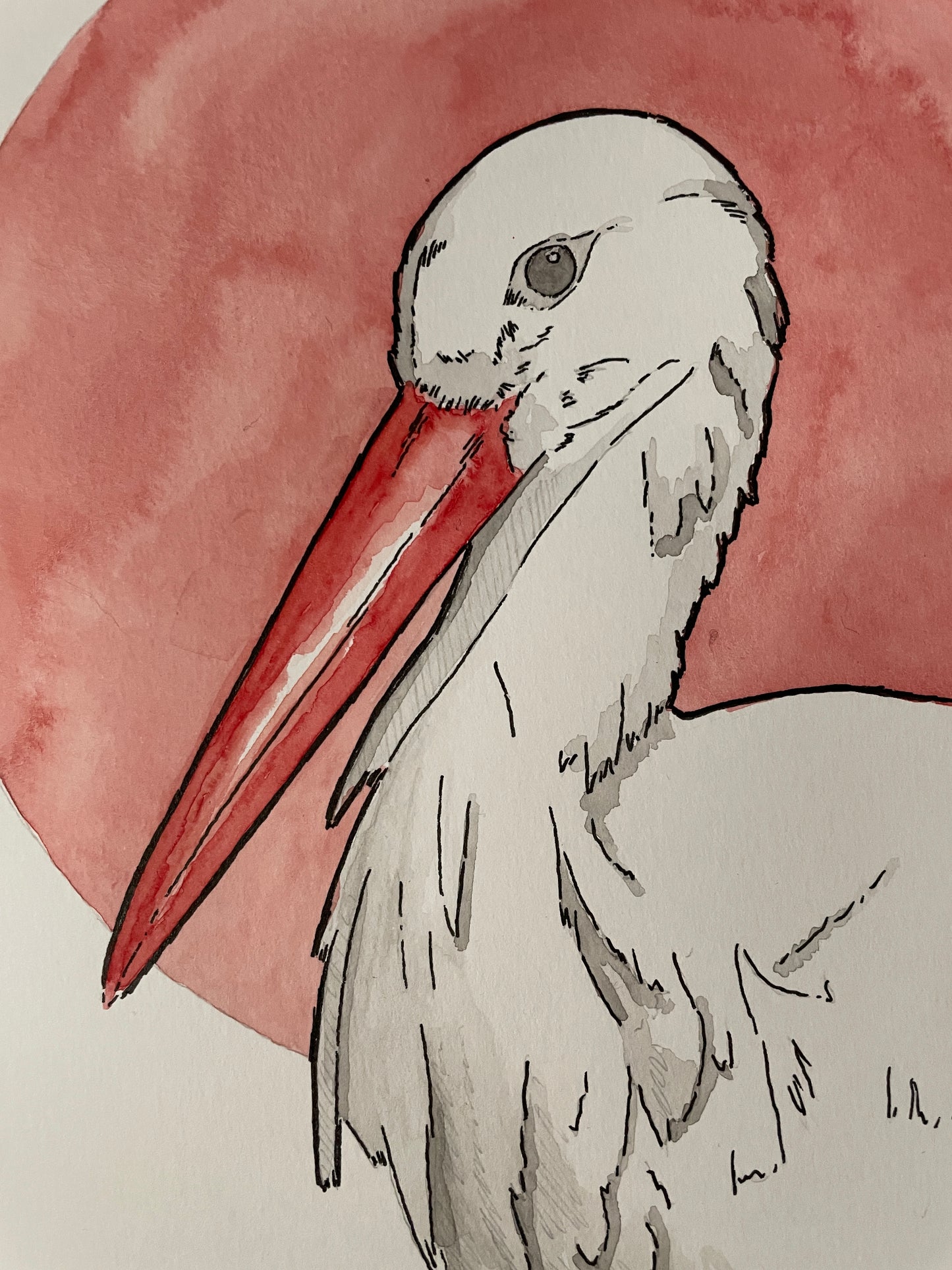 Stork A4 (ORIGINAL)