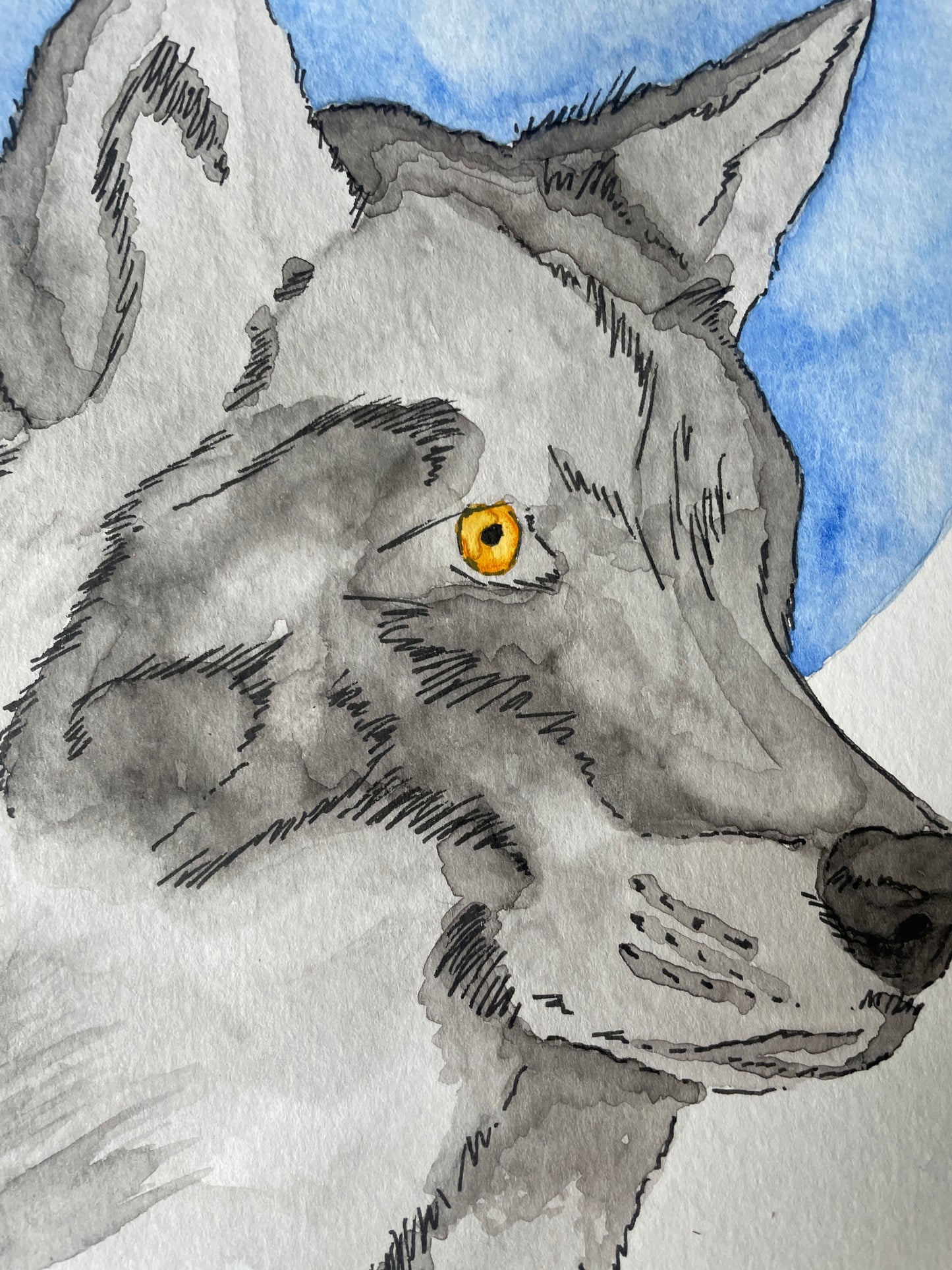 Blue Moon Wolf A4 (ORIGINAL)