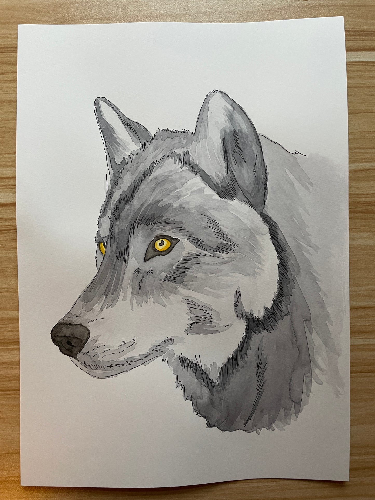 Grey Wolf A4 (ORIGINAL)