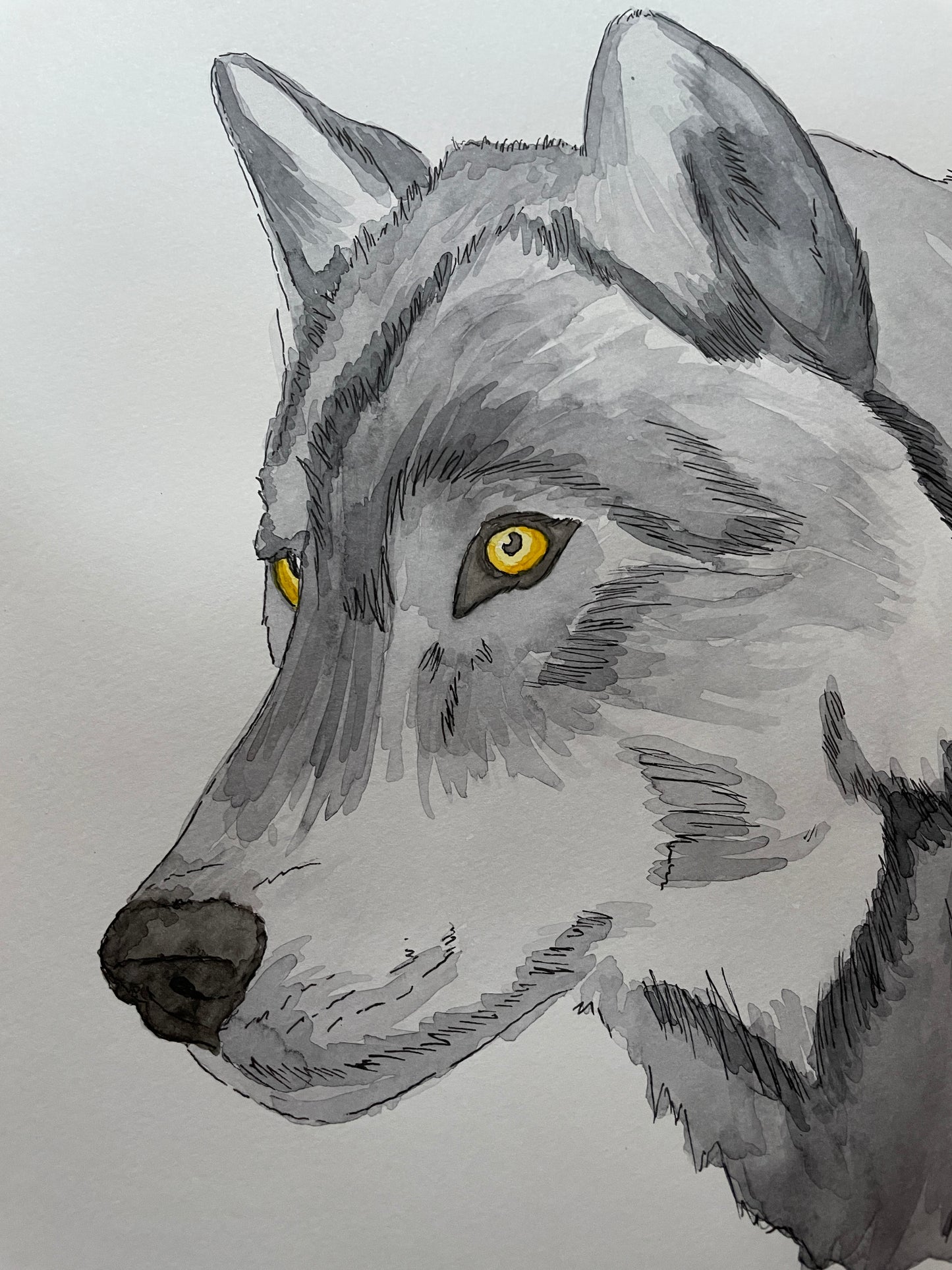 Grey Wolf A4 (ORIGINAL)