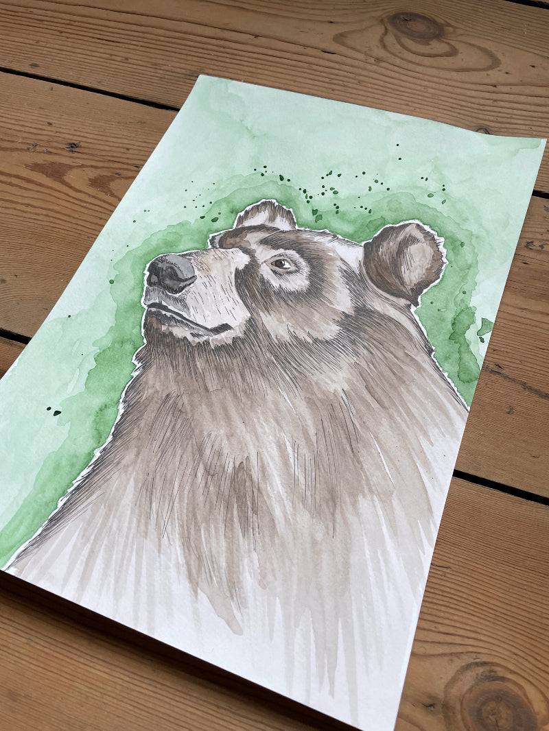 Brown Bear A4 (ORIGINAL)