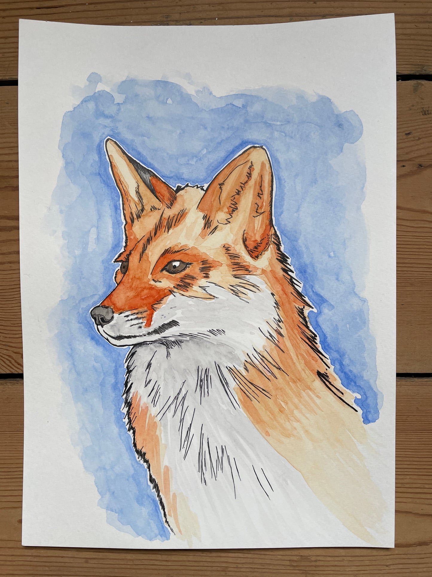 Fox A4 (ORIGINAL)