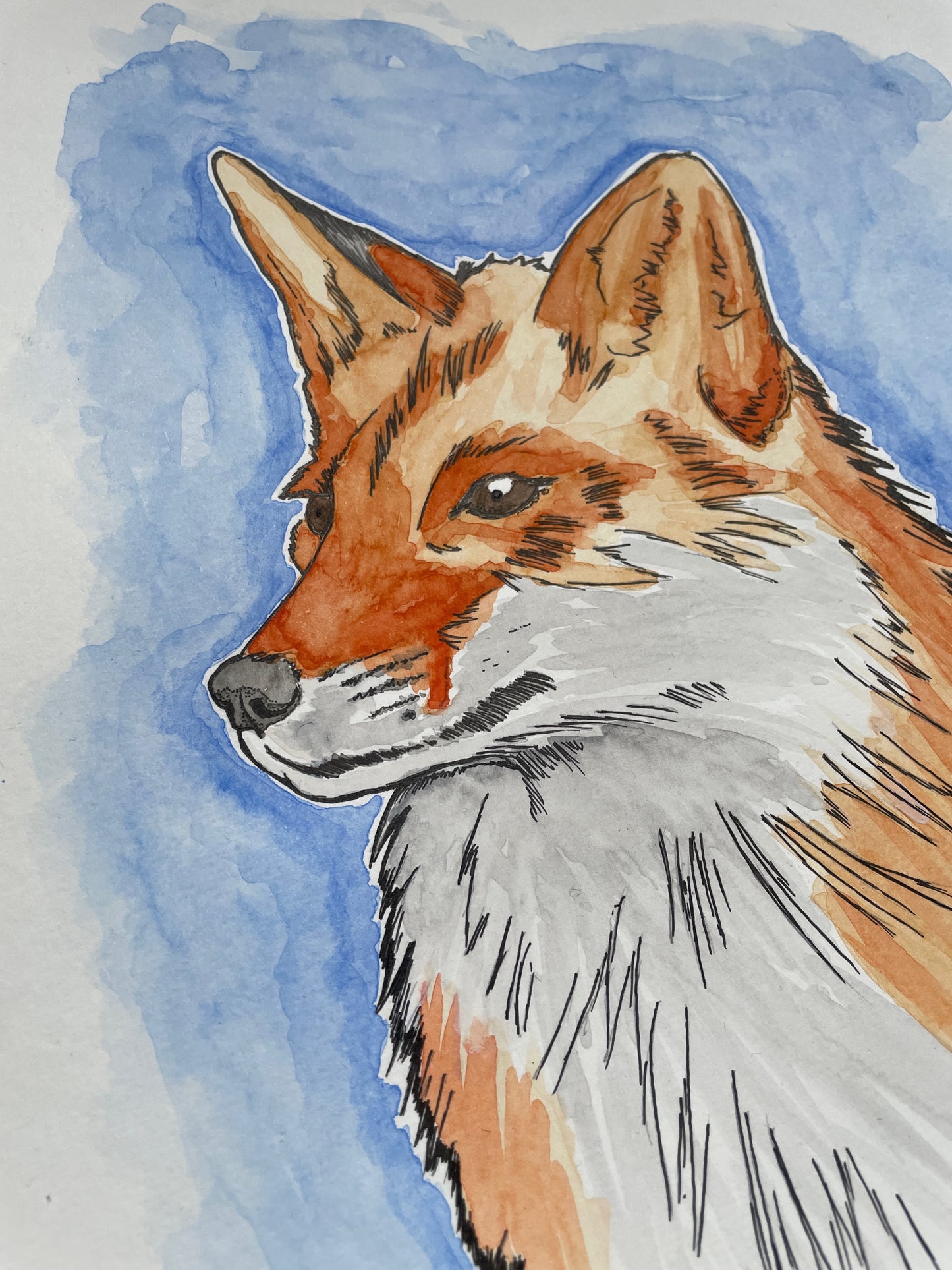 Fox A4 (ORIGINAL)