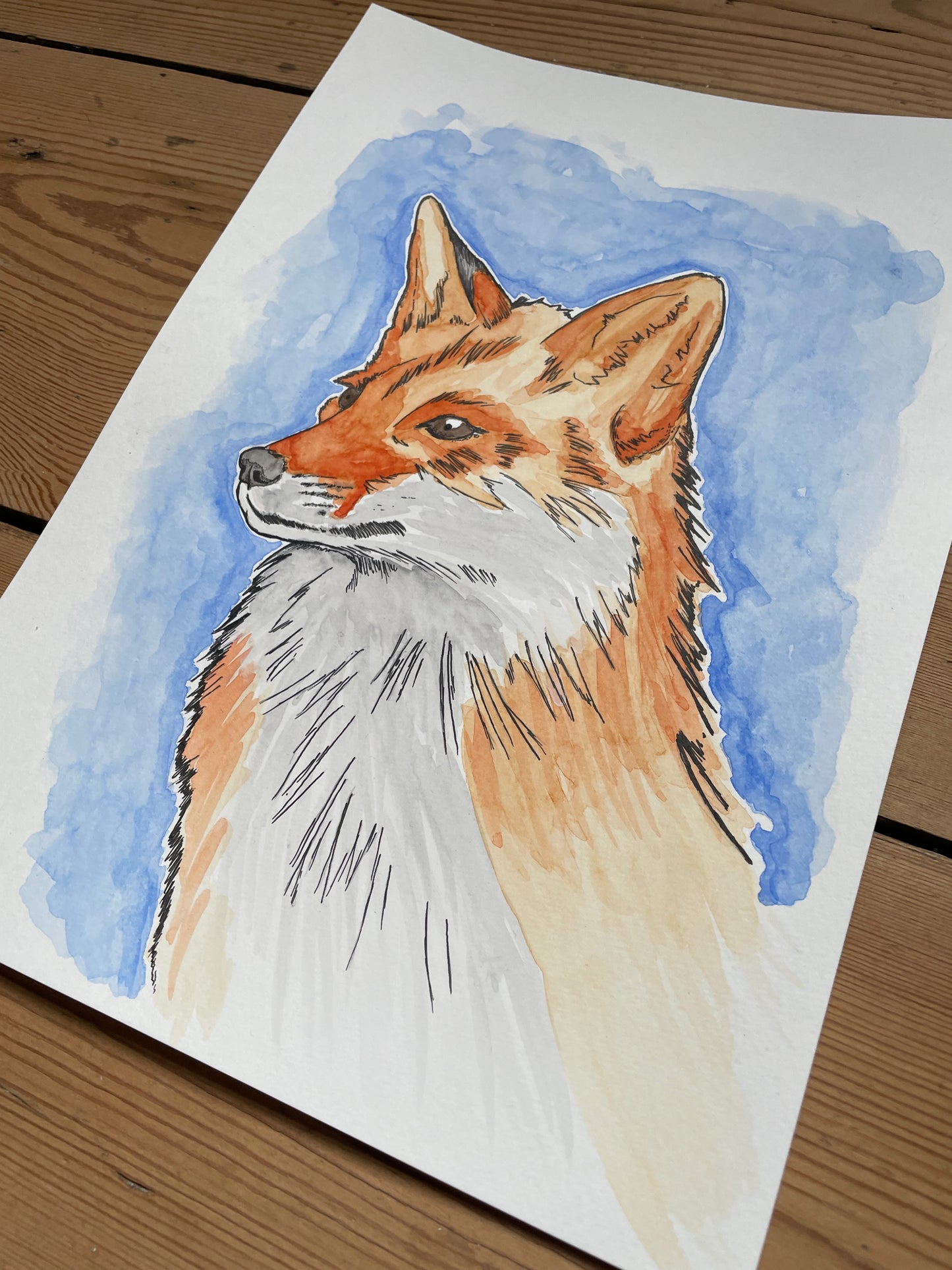 Fox A4 (ORIGINAL)