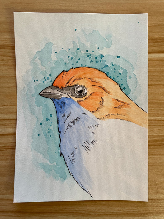 Small Bird 1 A5 (ORIGINAL)