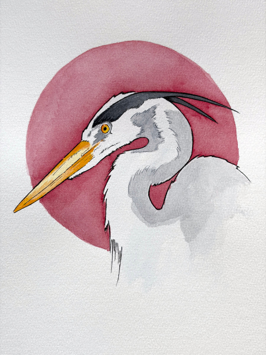 First Light (Heron) A4 (Print)