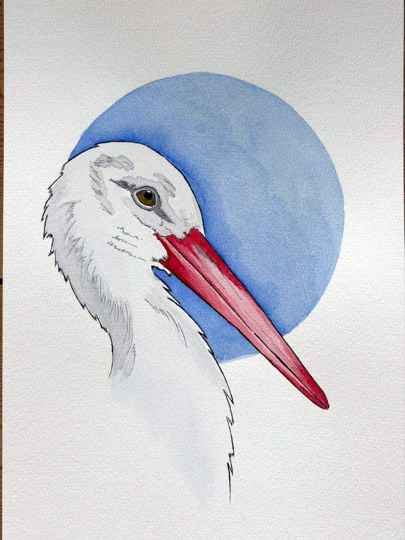 Sentinel (Stork) A4 (Print)
