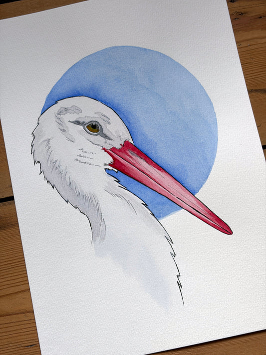 Sentinel (Stork) A4 – (ORIGINAL)