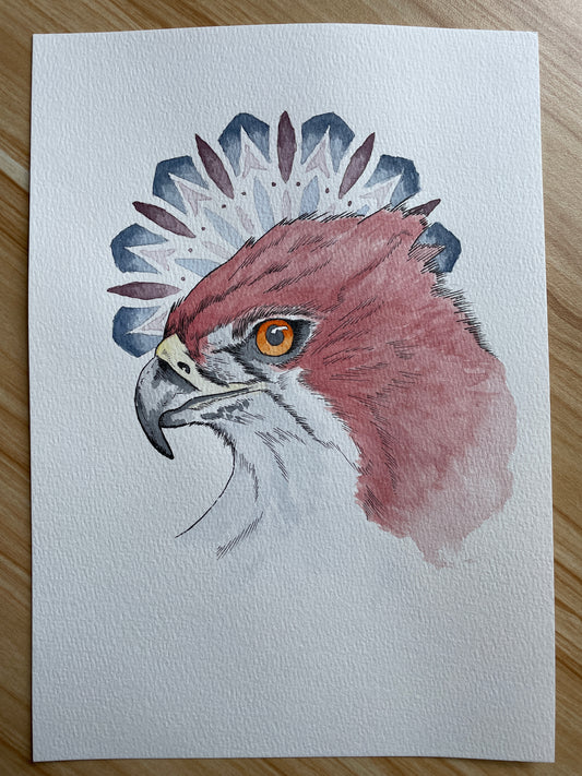 Eyes of the Sky A4 (ORIGINAL)