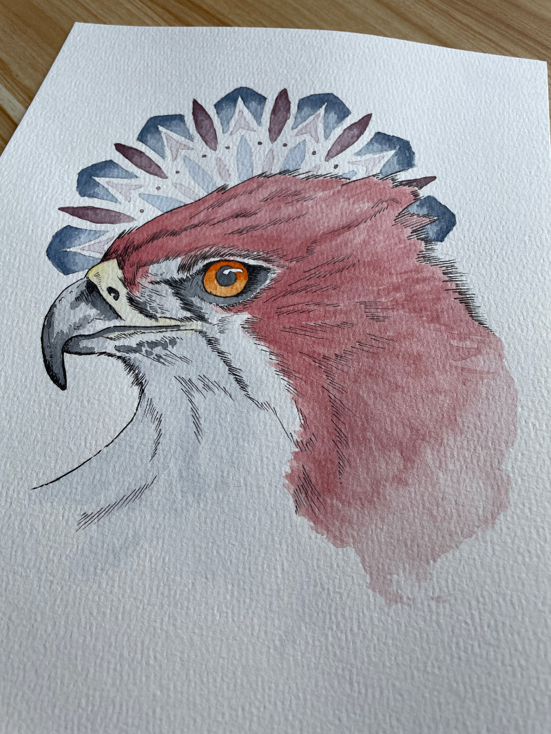 Eyes of the Sky A4 (Print)