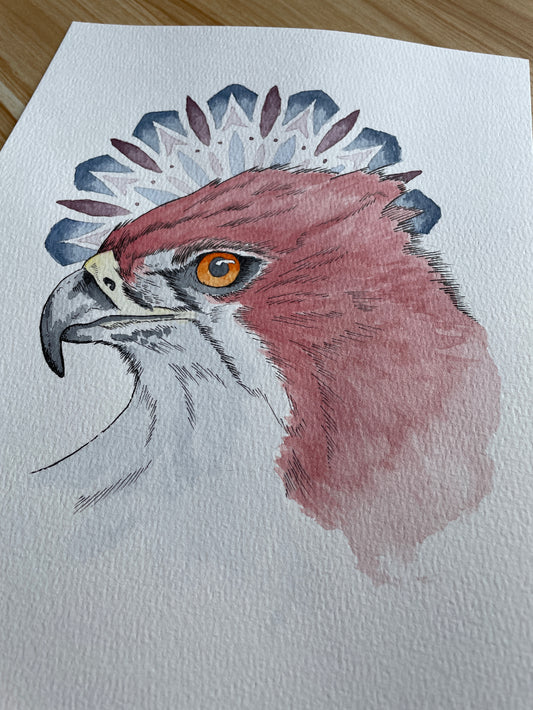 Eyes of the Sky A4 (Print)