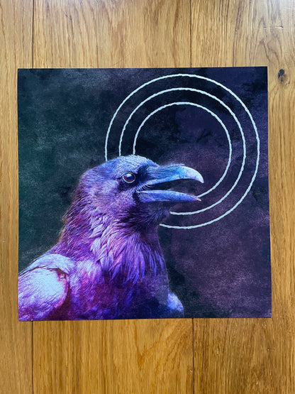 Silver Circle Raven